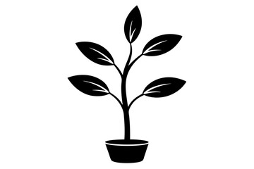 A black and white drawing of a plant with a mustache
. Seedling vector. Money Tree icon vector. Plant icon. Leaf icon. Sprout icon