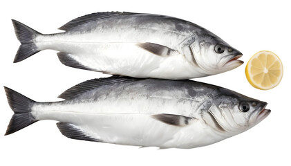 Fototapeta premium A collection of Halibut fish and leafy vegetables, isolated on a white backdrop