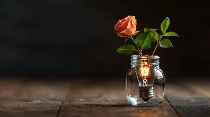 Rose Jar with Lightbulb Magic