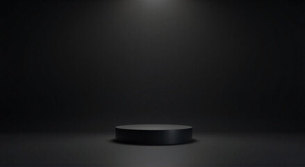 hockey puck on the table