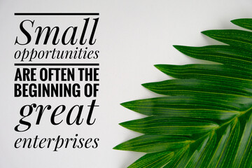 Inspirational motivation quote about small opportunities are often the beginning of great...