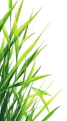 Naklejka premium Fresh Green Grass Detail - Lush Foliage in Nature