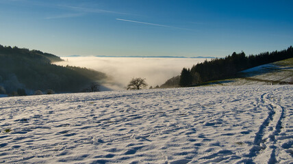Obraz premium Winter in Freiamt auf dem Hünersedel im Schwarzwald