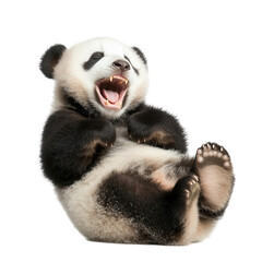 Obraz premium Playful panda cub laughing transparent background cute animal adorable environment whimsical perspective