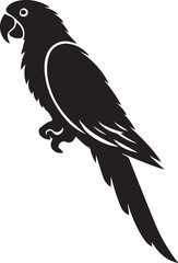 Parrot silhouette isolated on white background. Green parrot icon vector illustration design.
