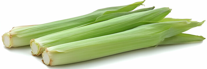 Fresh Corn on the Cob, Ready to Cook Deliciously.  Harvest, Prepare, Boil, Serve, Immediately!