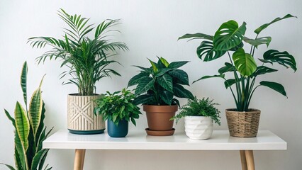 Modern Indoor Plants in Geometric Planters with Boho Minimalist Decor V5