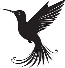 Humming bird silhouette vector artwork