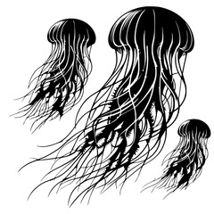 Beautiful jellyfish silhouette © Breck