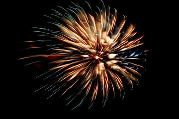 A radiant firework display explodes in a dark night sky