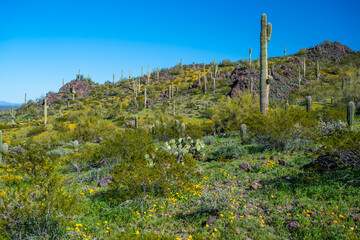 An overlooking view of Picacho Peak SP, Arizona