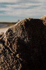 Close up of a rock with a partial view of the beach