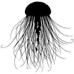 Jellyfish silhouette vector design