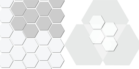Abstract technology white and grey geometric hexagon on transparent concept design honeycomb shape vector 