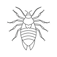 Booklouse (Psocoptera) insect design, labeled line art vector illustration.