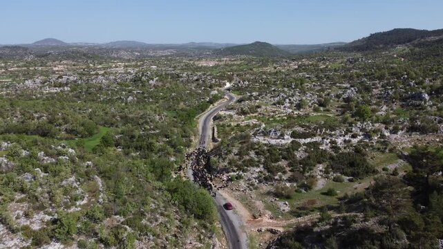 Aerial view goatherd forest road