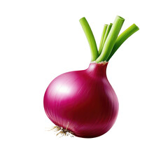 Red Wing Onion on a transparent background