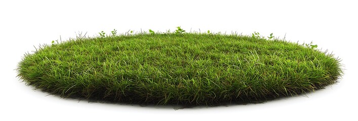 Green grass field isolated on a white background