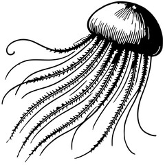 Jellyfish sketch silhouette