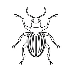 Weevil (Curculionidae) insect design, labeled line art vector illustration.