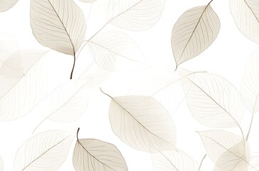 White background with beige leaf veins