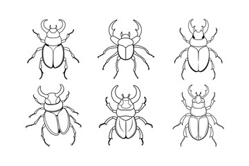 Rhinoceros Beetle (Dynastinae) insect design, labeled line art vector illustration.