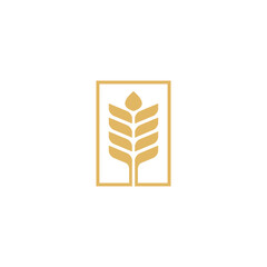 Wheat Logo Vector Illustration. Rice Icon