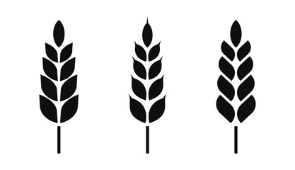Wheat silhouette set. Wheat icon vector. Wheat symbol. Cereal grains for making bread