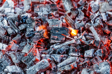 A pile of wood that has been burned