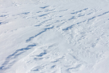 Obraz premium The snow is white and the ground is covered in it