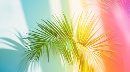 Obraz premium Colorful Rainbow Pattern with Tropical Palm Leaves and Soft Background