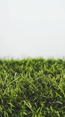 Close up of vibrant green grass. Lush green grass in a field. Natural beauty of nature. Fresh grass in the garden. A close-up view of a lush green lawn.  A beautiful nature scene.