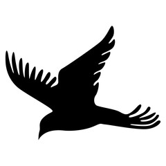 Bird silhouette