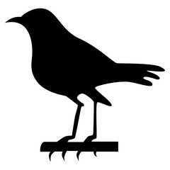 Bird silhouette