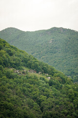 Naklejka premium Few houses with a big garden with growing food on a slope of a green Swiss Alps mountain in Switzerland