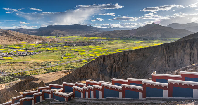 Sakya village, canola blossoms in Sakya village, Tibet, sunset sky