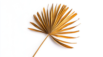A single dried palm leaf with intricate veins and golden-brown tones, isolated on a bright white background, captured in sharp detail with a minimalist style.
