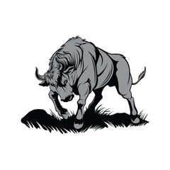 vector illustration Bull