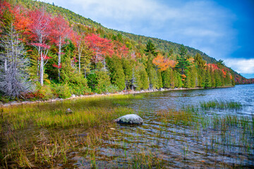 Acadia National Park in Vibrant Foliage Season, Stunning Autumn Landscapes in Maine