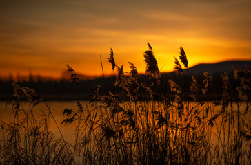 Jesienny poranek nad stawem, Wschód słońca.