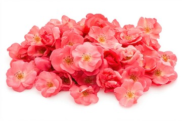 Vibrant Pink Flowers Piled on White Background Perfect for Spring Decor and Designs