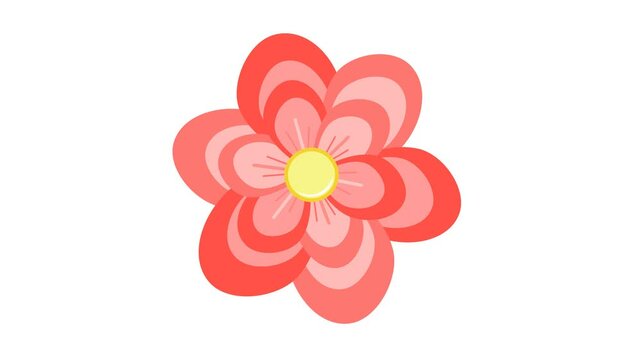 Springtime flower blossom icon animation. Alpha channel. Seamless looping. Suitable for floral nature video element content