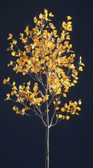 Obraz premium Golden Autumn Leaves on a Birch Tree Branch