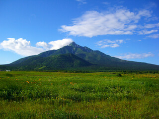 北海道　利尻島の風景(エゾカンゾウの群生,利尻山)