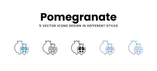 Pomegranate icons in different style vector stock illustration