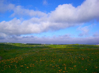 北海道　利尻島の風景(エゾカンゾウの群生と礼文島)