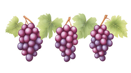 bunch of grapes
