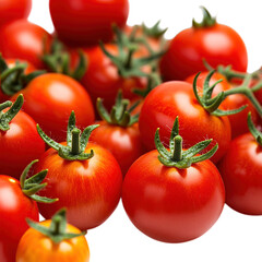 tomatoes on a white background
