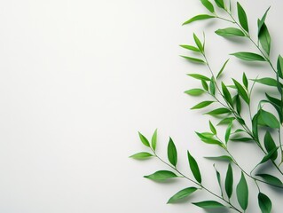 Obraz premium A minimalist arrangement of green leaves on a light background, emphasizing nature's beauty.