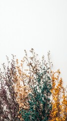 Dried Floral Branches Flatlay  Earthy Eco Vibes  Natural Decor  Botanical Mockup